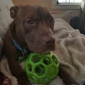 Meet your Posher, Mary